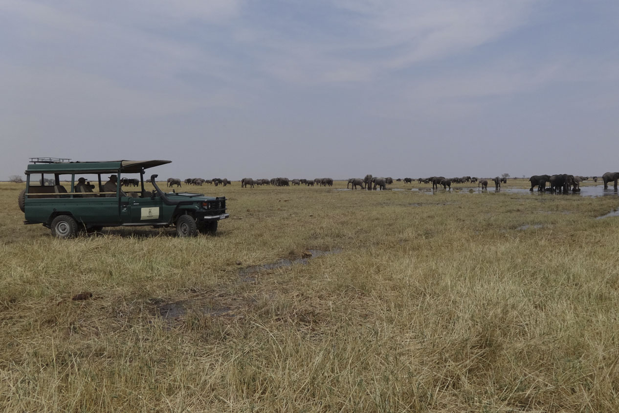Open 4x4 game drive vehicle, Botswana
