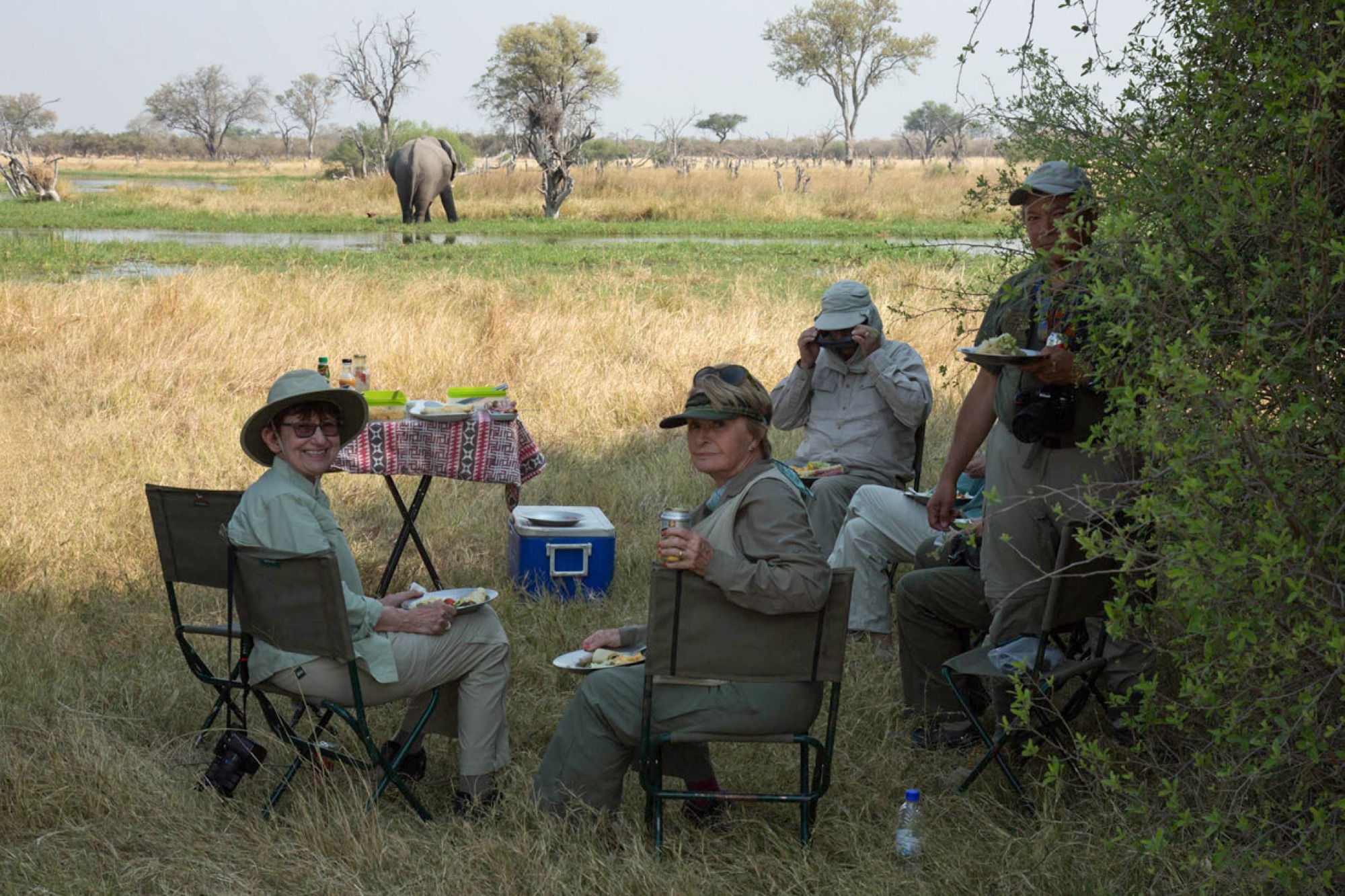 Tea break on safari, Botswana